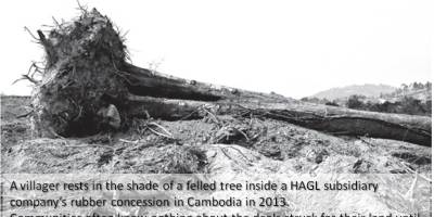 Viet state-owned rubber companies ruin Cambodia and Laos forests- Global Witness 3h12